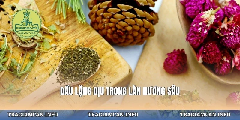 Dấu lặng dịu trong làn hương sâu