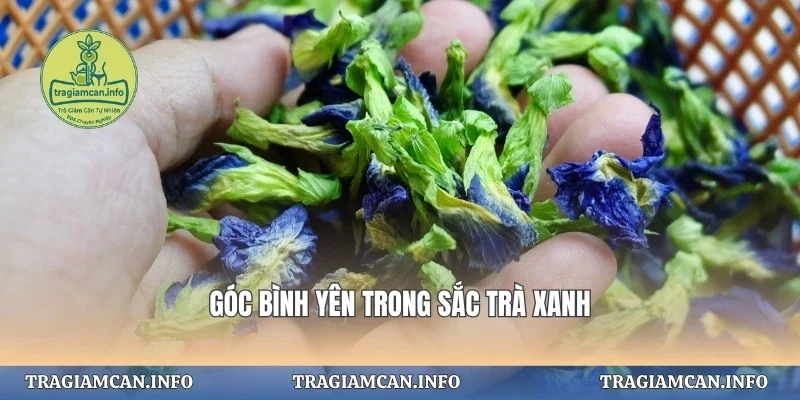 Góc bình yên trong sắc trà xanh