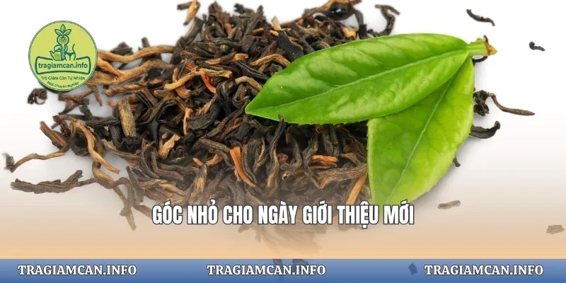Góc nhỏ cho ngày giới thiệu mới
