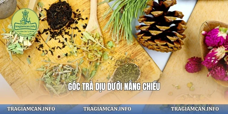 Góc trà dịu dưới nắng chiều