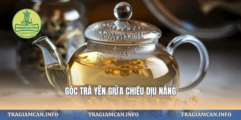 Góc trà dịu giữa chiều an yên