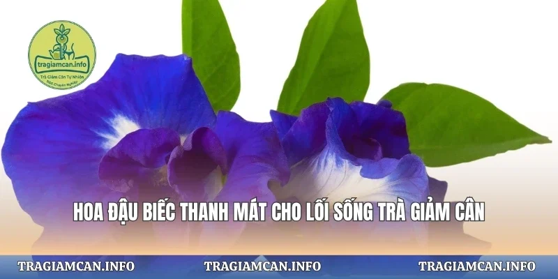 Hoa Đậu Biếc Thanh Mát