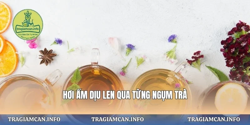 Hơi ấm dịu len qua từng ngụm trà