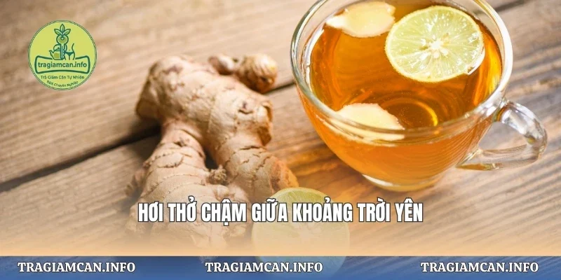 Hơi thở chậm giữa khoảng trời yên