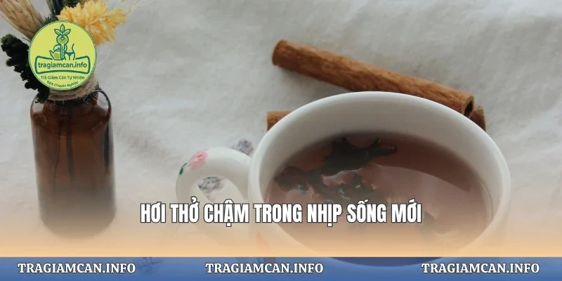 Hơi thở chậm trong nhịp sống mới