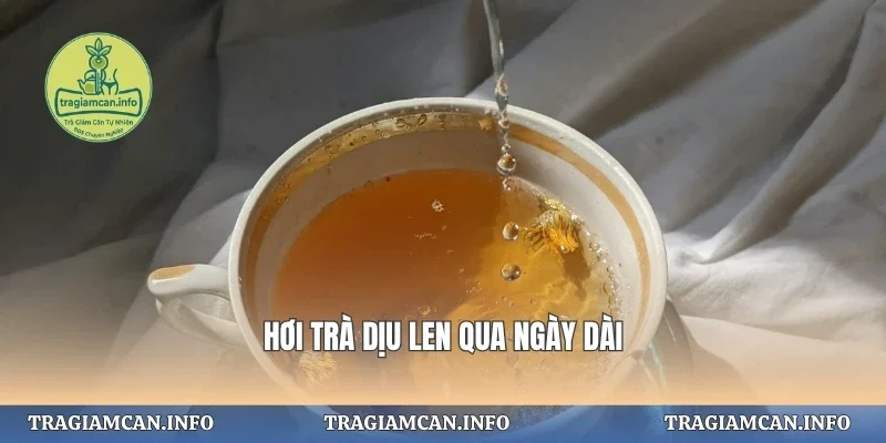 Hơi trà dịu len qua ngày dài