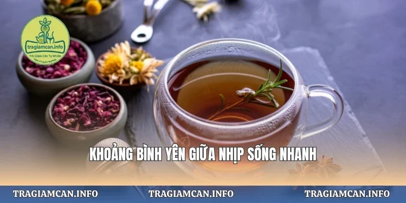 Khoảng bình yên giữa nhịp sống nhanh