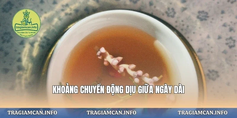 Khoảng chuyển động dịu giữa ngày dài