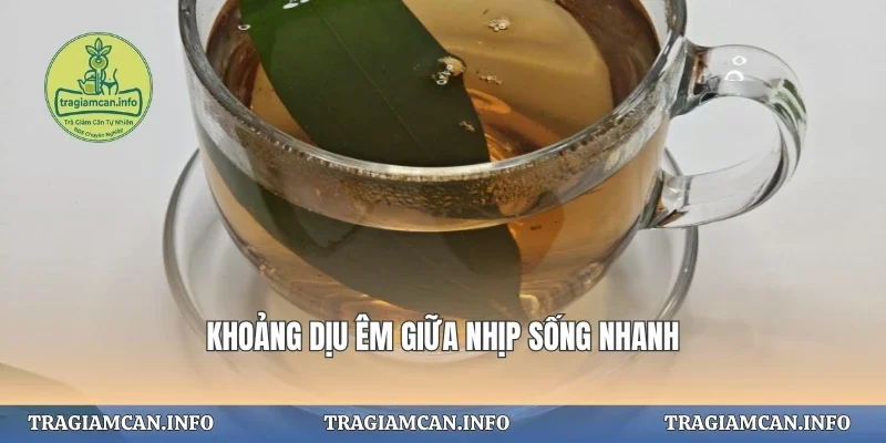 Khoảng dịu êm giữa nhịp sống nhanh