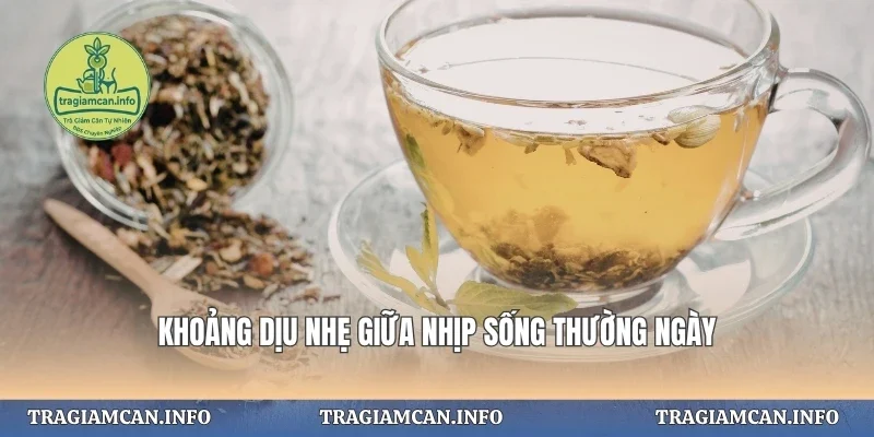 Khoảng dịu nhẹ giữa nhịp sống thường ngày