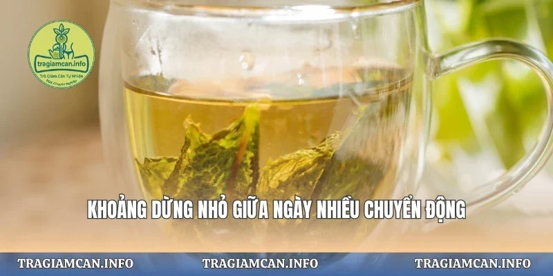 Khoảng dừng nhỏ giữa ngày nhiều chuyển động