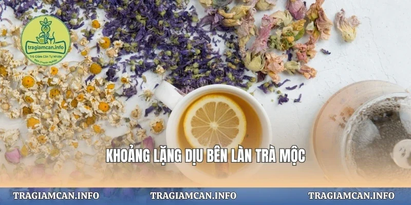 Khoảng lặng dịu bên làn trà mộc
