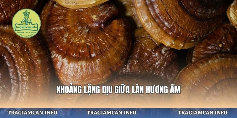 Khoảng lặng dịu giữa làn hương ấm