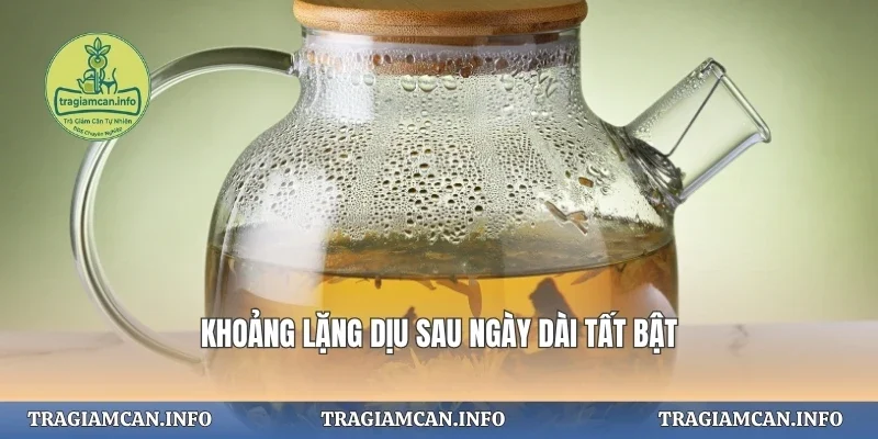 Khoảng lặng dịu sau ngày dài tất bật