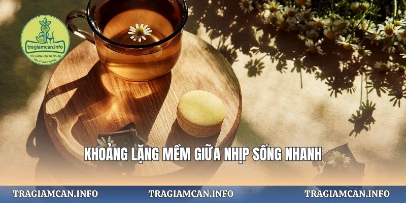 Khoảng lặng mềm giữa nhịp sống nhanh