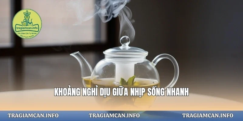 Khoảng nghỉ dịu giữa nhịp sống nhanh