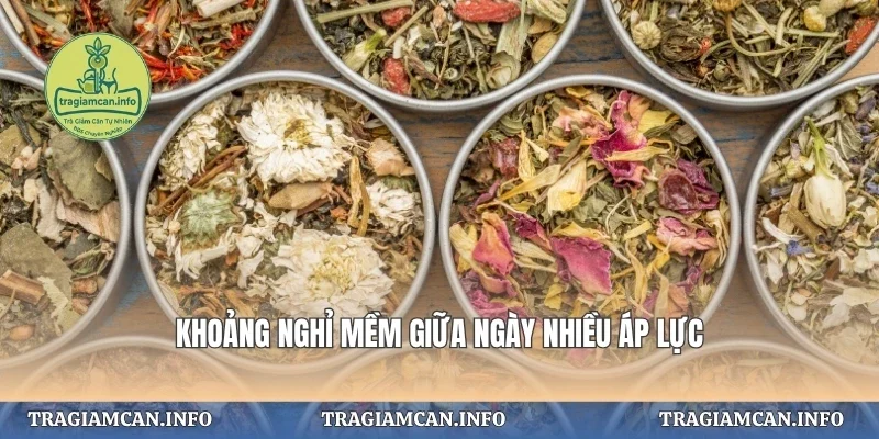 Khoảng nghỉ mềm giữa ngày nhiều áp lực