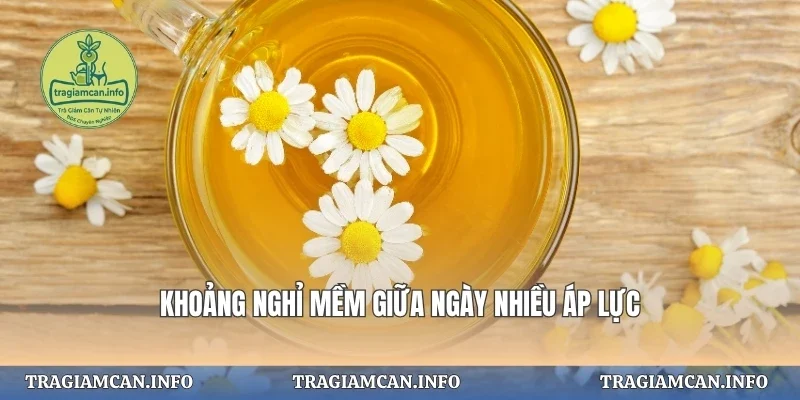 Khoảng nghỉ mềm giữa ngày nhiều áp lực