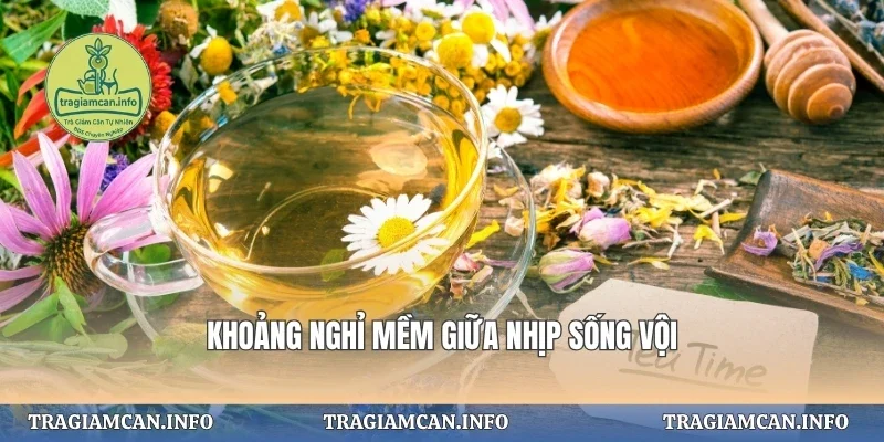 Khoảng nghỉ mềm giữa nhịp sống vội
