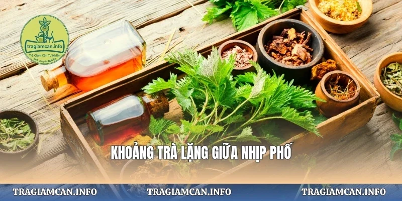 Khoảng trà lặng giữa nhịp phố