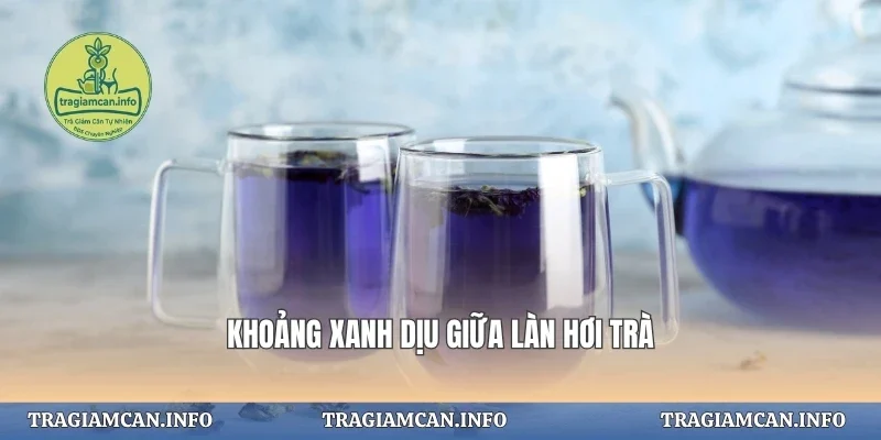 Khoảng xanh dịu giữa làn hơi trà