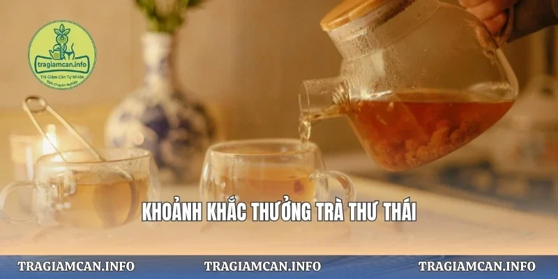 Khoảnh khắc thưởng trà thư thái