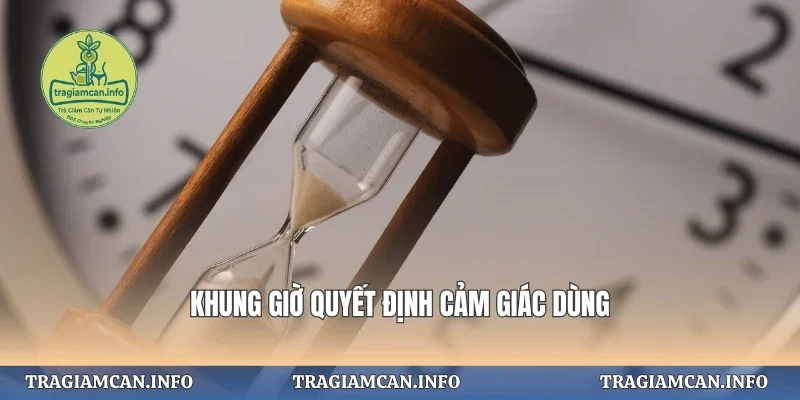 Khung giờ quyết định cảm giác dùng