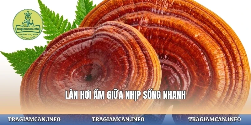 Làn hơi ấm giữa nhịp sống nhanh