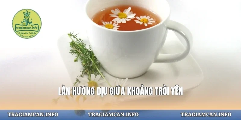 Khoảng an yên trong làn hương dịu