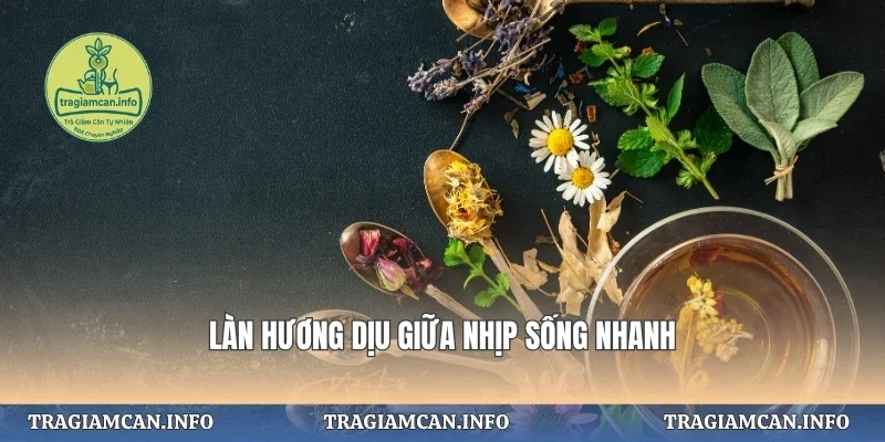 Làn hương dịu giữa nhịp sống nhanh