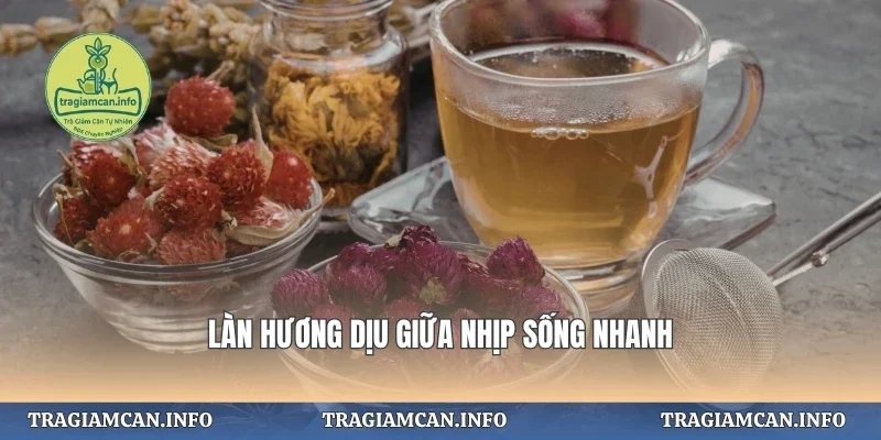 Làn hương dịu giữa nhịp sống nhanh