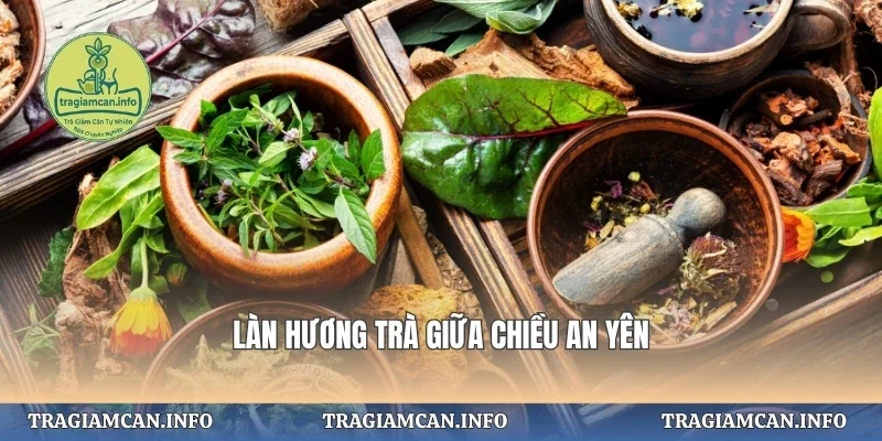 Làn hương trà giữa chiều an yên