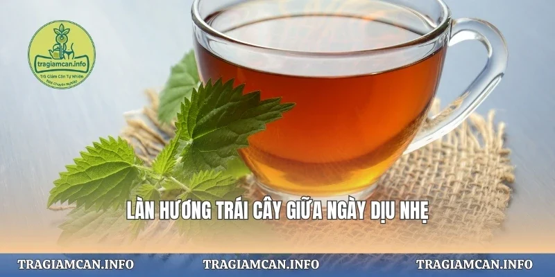 Làn hương trái cây giữa ngày dịu nhẹ