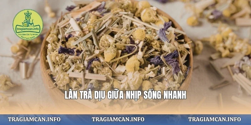 Làn trà dịu giữa nhịp sống nhanh