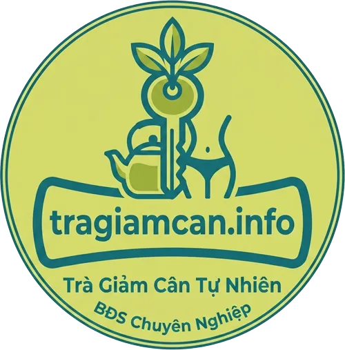 Trà Giảm Cân An Toàn Cho Người Mới Cùng Tragiamcan.info