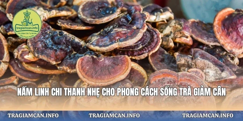 Nấm Linh Chi Thanh Nhẹ
