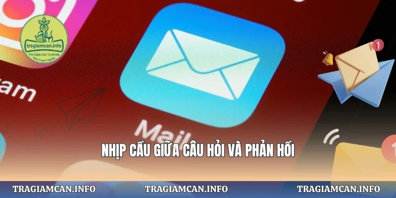 Nhịp cầu giữa câu hỏi và phản hồi