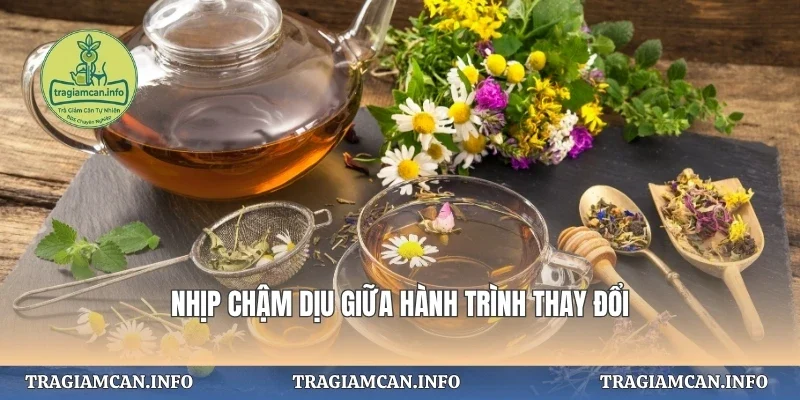 Nhịp chậm dịu giữa hành trình thay đổi