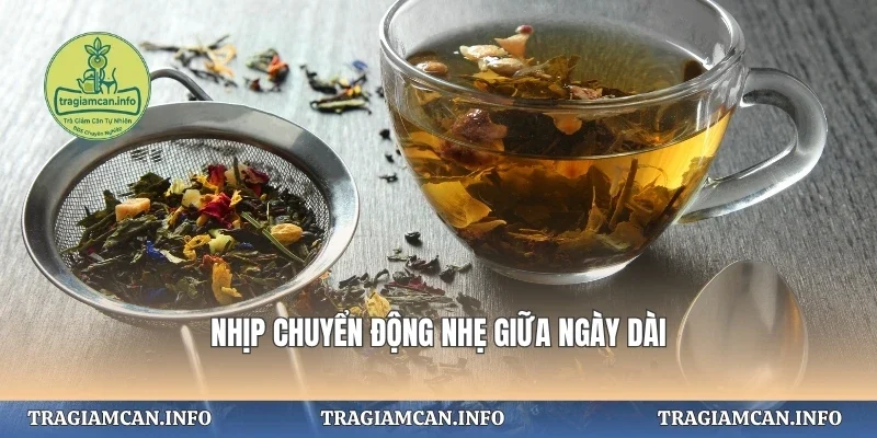 Nhịp chuyển động nhẹ giữa ngày dài