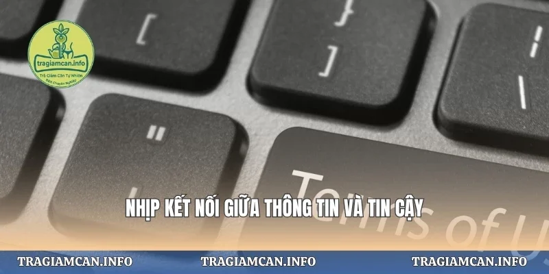 Nhịp kết nối giữa thông tin và tin cậy