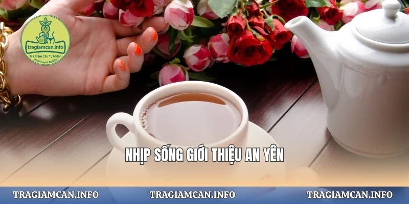 Nhịp sống giới thiệu an yên