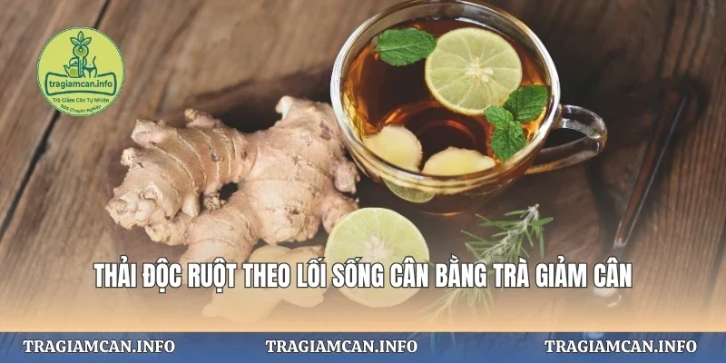 Thải Độc Ruột Theo Lối Sống