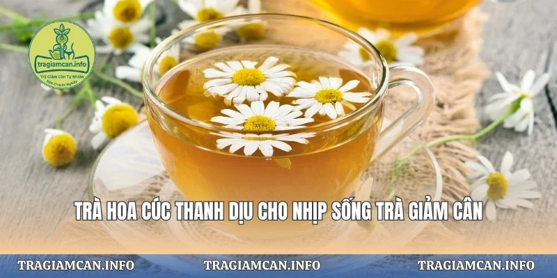 Trà Hoa Cúc Thanh Dịu