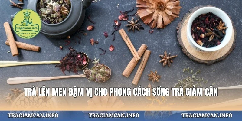 Trà Lên Men Đậm Vị