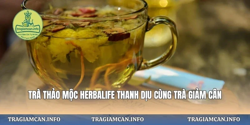 Trà Thảo Mộc Herbalife