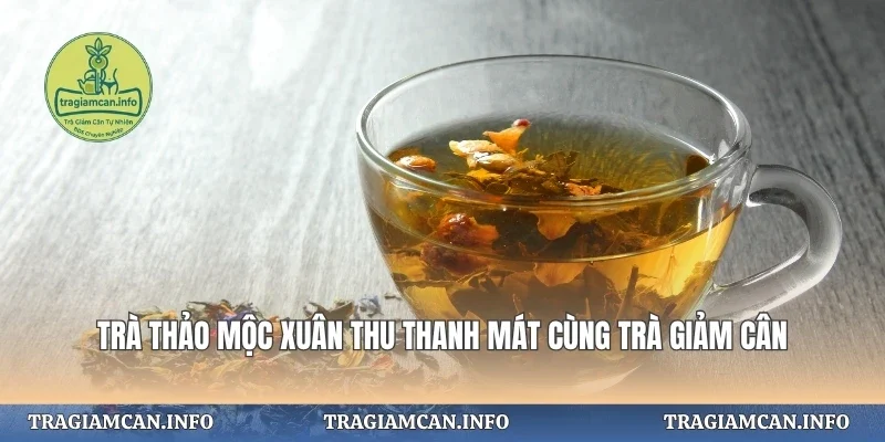 Trà Thảo Mộc Xuân Thu